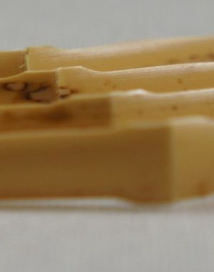 Gonzalez shaped oboe cane (gouged and shaped by Argendonax)